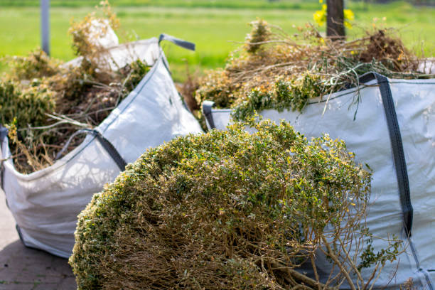 Yard Cleanup Services in Clayton, NJ