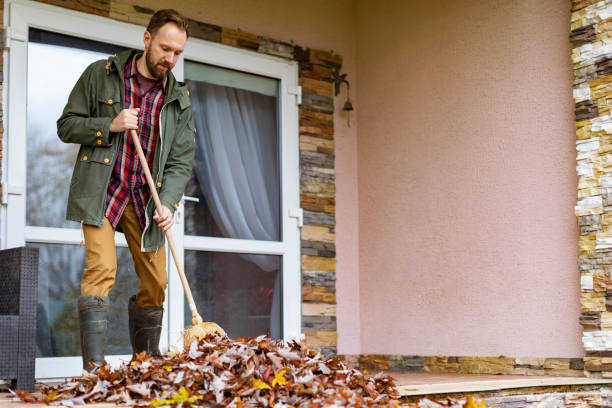 Best Junk Hauling Services  in Clayton, NJ
